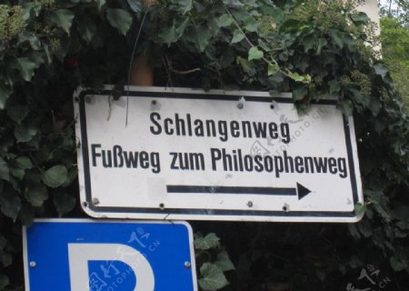 哲学家之路图片