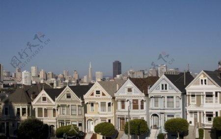 旧金山九曲花街旁的漂亮住宅图片