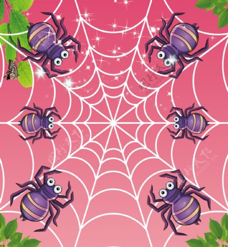 卡通蜘蛛排图片