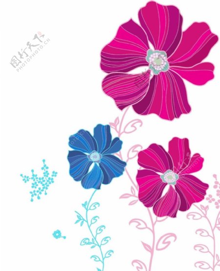 插画韩式花花朵图片