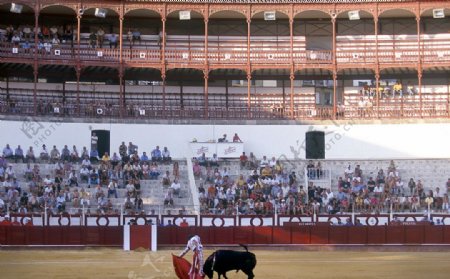 西班牙斗牛图片