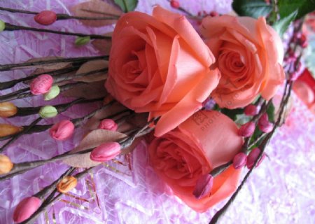 玫瑰花束图片