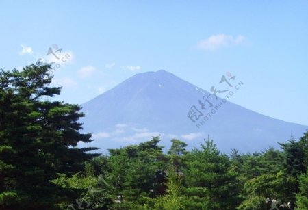 森林樹林山富士山山峰图片