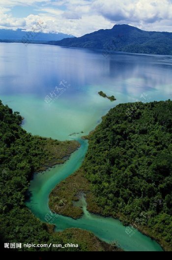 亚马逊河入海口图片