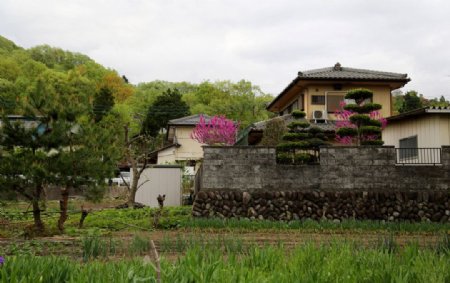 绿色风景别墅图片
