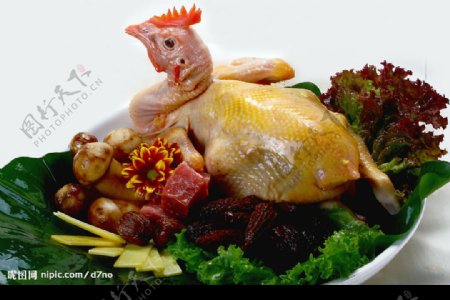 松茸炖鸡汤图片