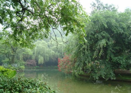 桂林七星公园风景图片