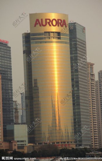 上海震旦集团大厦图片