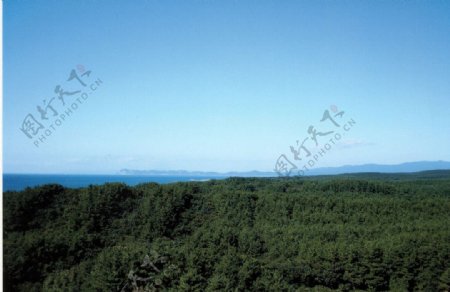 藍天綠色山丘图片