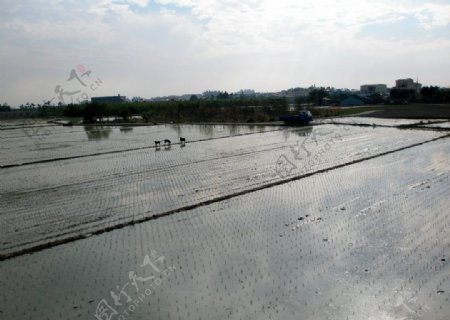 嘉仁河堤图片