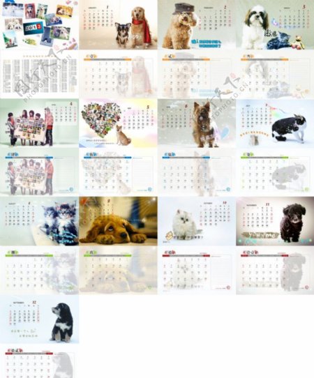 2012动物台历图片
