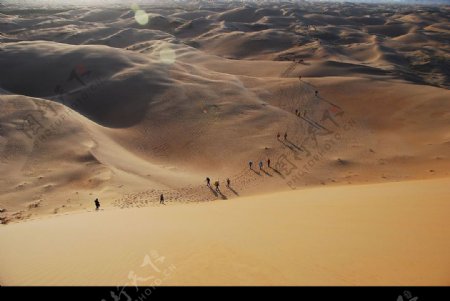 沙漠旅人图片