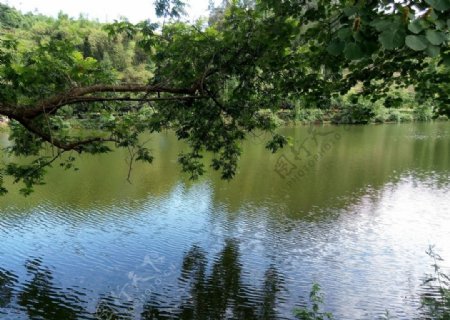 朝阳湖风景图片