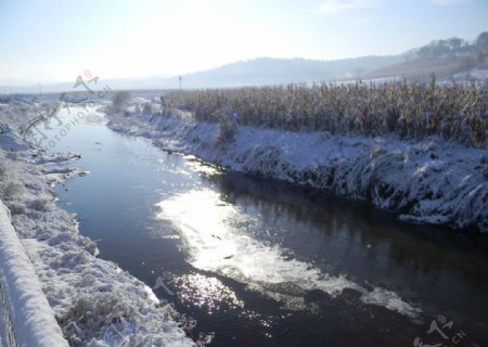 第一场雪河边图片