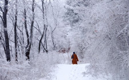 渑池韶山雪景图片