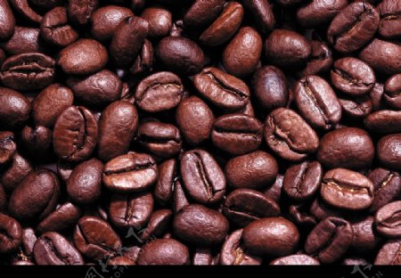 咖啡原料图片