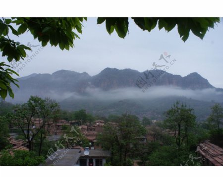 山村的雾图片