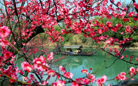 杭州西溪湿地景色图片