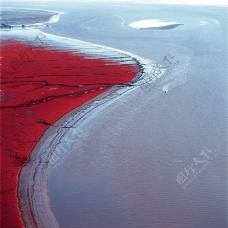 红海滩图片