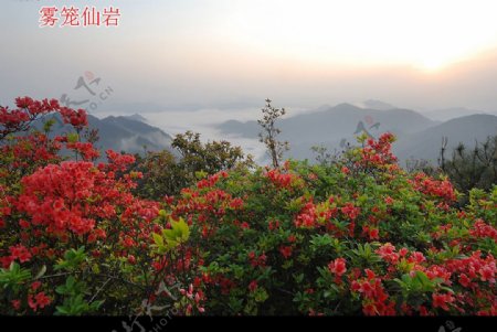 自然景观山水风景图片