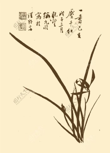 芥子园画谱兰花图片