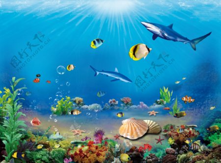 海珊瑚海报图片