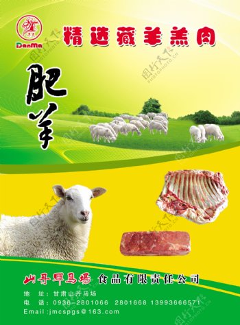 藏羊羊羔肉宣传图片