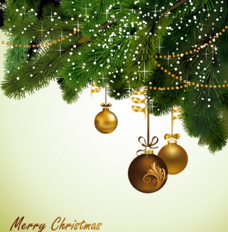 圣诞球松树枝背景图片