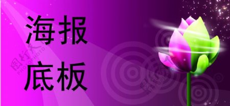 紫色莲花模版图片