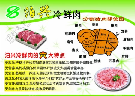 分割猪肉部位图泊兴冷鲜肉六大特点图片
