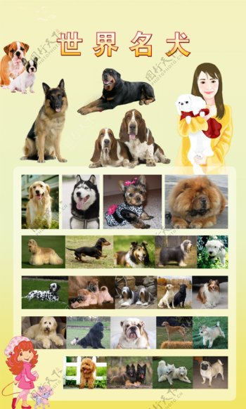 世界名犬图片