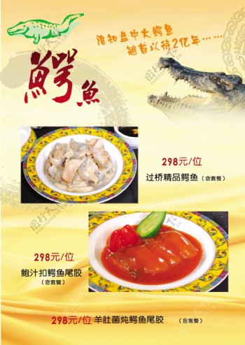 鳄鱼菜品彩页图片