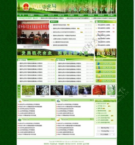 绿色林业局环保网站网页模板图片