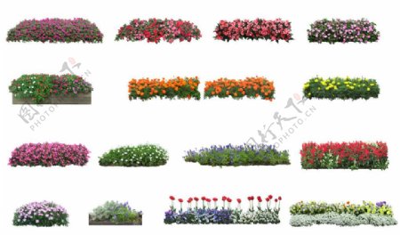花丛PSD素材19张图片