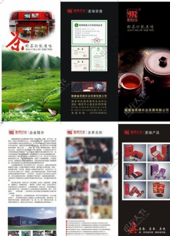 名茶三折页图片