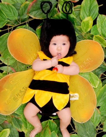 小蜜蜂宝贝儿童图片
