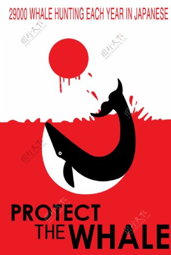 保护鲸鱼日本图片