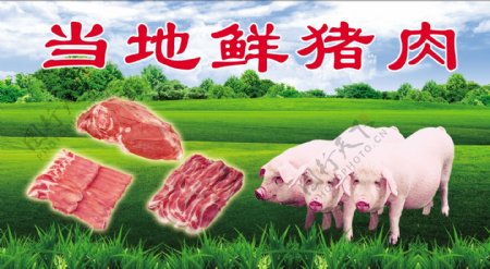 鲜猪肉海报图片