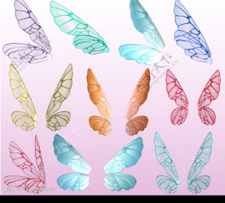高清透明蝴蝶翅膀图片