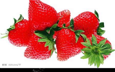 水果草莓3图片
