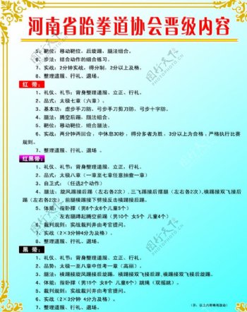 河南省跆拳道协会晋级内容图片