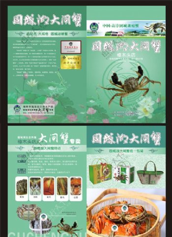 固城湖螃蟹DM图片