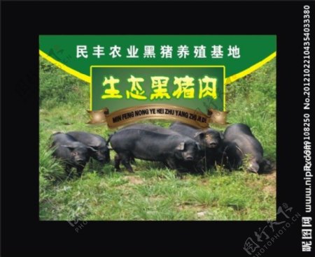 生态黑猪肉图片