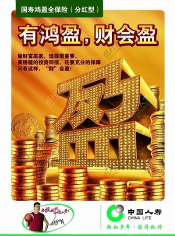 中国人寿鸿盈保险图片