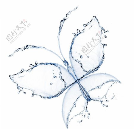 液态水组成的蝴蝶图案创意图片