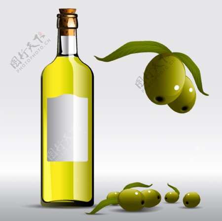 橄榄油矢量素材图片