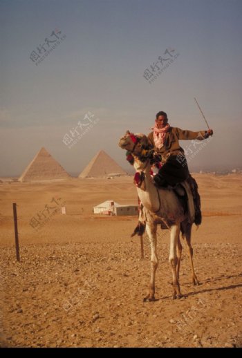 埃及之旅0018