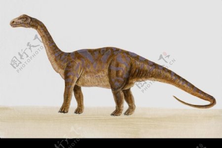 白垩纪恐龙0019