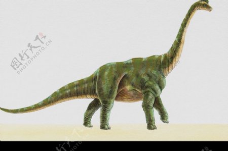 白垩纪恐龙0030