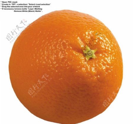 橙子特写0036